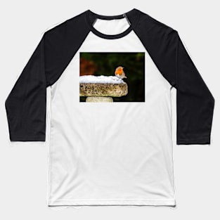 Robin on Snowy Birdbath Baseball T-Shirt